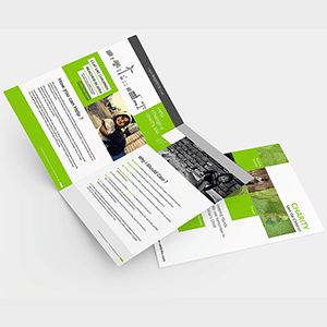 a4-glossy-art-board-brochure