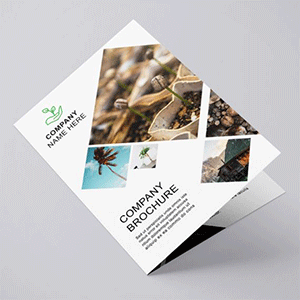 a4-standard-art-board-brochure